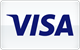 Visa debit and credit card payments at DubsterWin Casino
